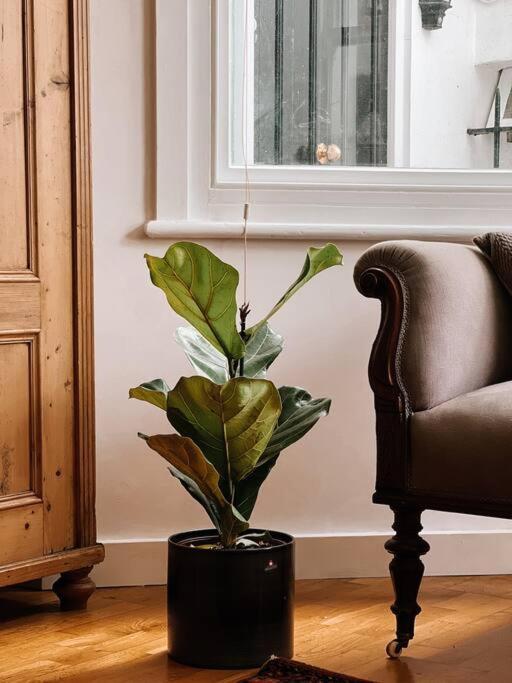 Stunning Victorian Mansion Apartment - Hosted By Agf Property - Free Parking Upon Request Brighton Bagian luar foto